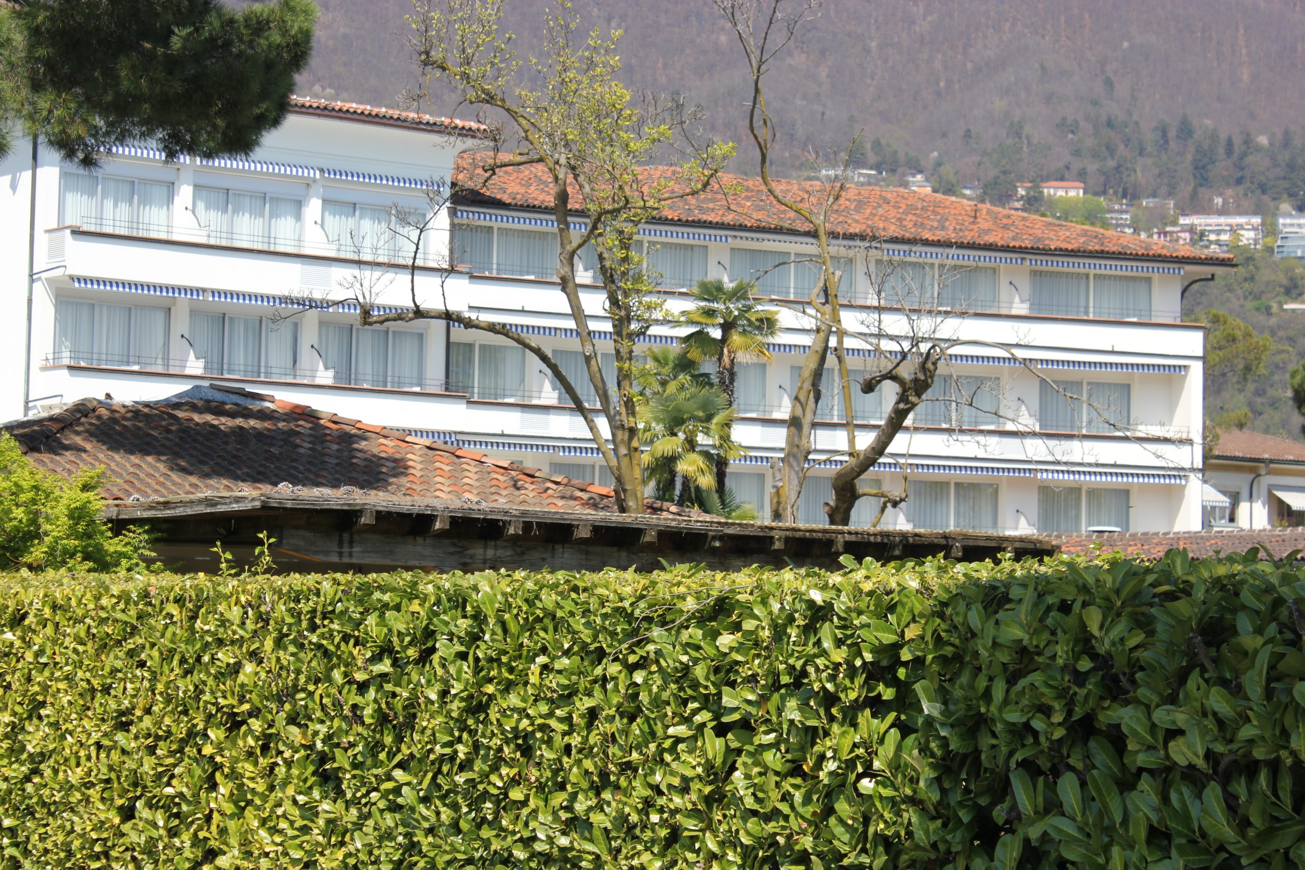 Progetto realizzato al Parkhotel Delta di Ascona